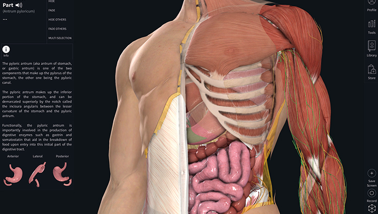 https 3d4medical press category complete anatomy